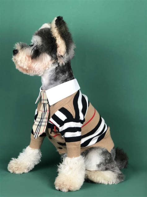 burberry dog vest